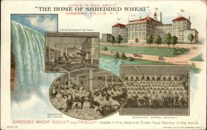 Niagara Falls New York Shredded Wheat Co Triscuit Factory Vintage Postcard