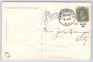 Holiday~Thanksgiving~Boy with Ax Brings Home Dead Turkey~c1910 Postcard