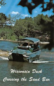 Duck Crossing The Sand Bar Postcard