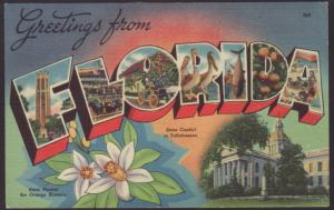 Greetings From,Florida Postcard