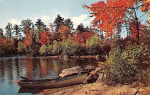 Fisherman's Paradise in Mountain Lake Misc, New Mexico NM Postcards