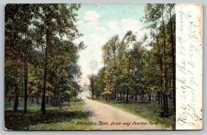 Memphis Tennessee~Overton Park Driveway~Path Thru Trees~1907 Postcard
