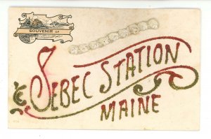 ME - Sebec Station. Souvenir  (glitter, plaster?)