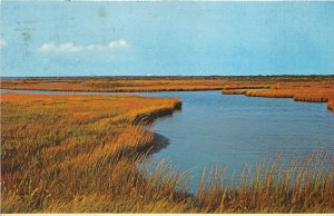 US4 US Assateague Island National Seashore Maryland Virginia 1975 salt marshes