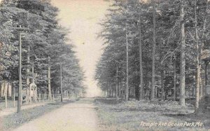 Temple Avenue Ocean Park Maine 1905c postcard