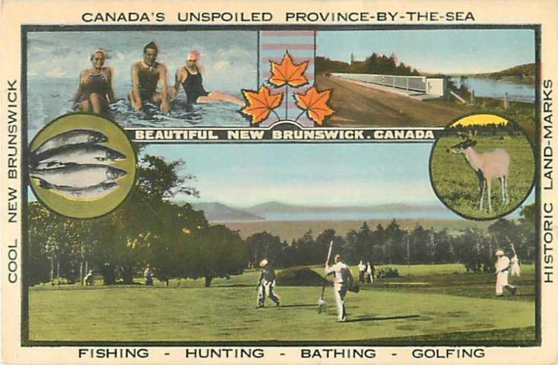 Cool New Brunswick Advertising Postcard NB Canada White Border