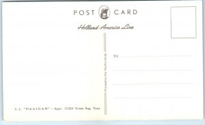 Postcard - S. S. Maasdam - Holland-America Line
