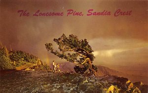 Lonesome Pine, Sandia Crest Albuquerque, New Mexico NM Postcards