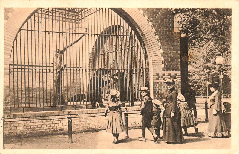 Germany Berliner Typen Vor dem Barenzwinger Zoologischen Garten, Postcard.