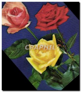 Modern Postcard Fantasy Flowers (relief d?cor)