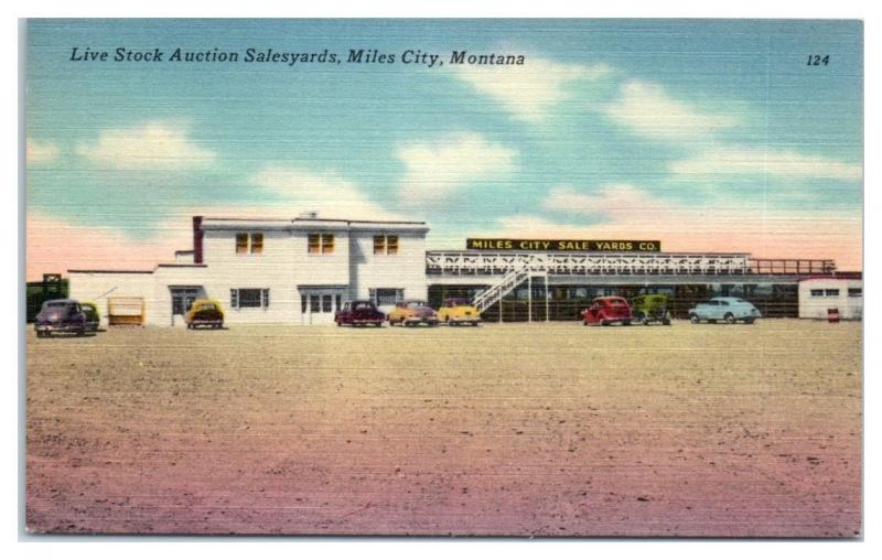 Mid-1900s Livestock Auction Salesyards, Miles City, MT Postcard