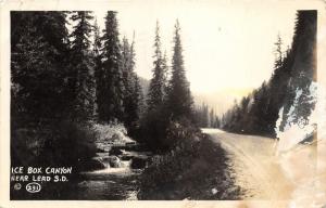 Lead South Dakota~Ice Box Canyon~Dirt Road by Stream~Evergreen Forest~1948 RPPC