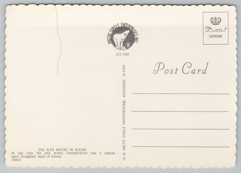 Animal~Dog Sled Racing In Alaska~Continental Postcard 