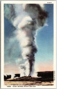 Giant Gayser 250 Feet High Yellowstone National Park Greatest Geyser Postcard