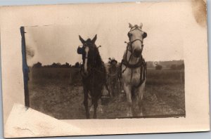 RPPC Horses pulling plow farmer walking behind head-on view Azo 1904-18