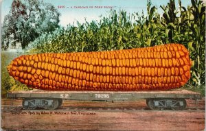 'A Carload Of Corn From' Exaggerated Cob of Corn Railway Car c1909 Postcard G10