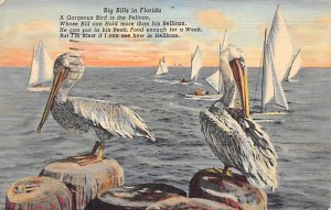 Big Bills  Florida, USA Pelicans 1945 