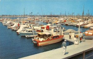 The Marina LONG BEACH, CA Alamitos Bay 1958 Chrome Vintage Postcard