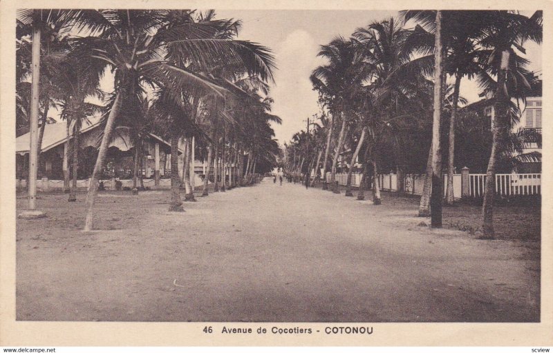 DAHOMEY , Avenue de Cocotiers - COTONOU , 00-10s