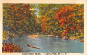 Barryville New York Scenic Waterfront Greeting Antique Postcard K91696