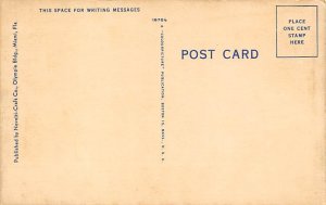 Hialeah Race Track Close Finish - Miami , Florida FL Postcard