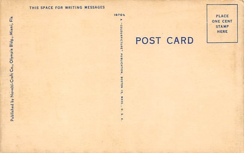 Hialeah Race Track Close Finish - Miami , Florida FL Postcard