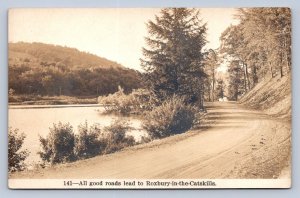 J95/ Roxbury-In-The-Catskills New York RPPC Postcard c1920s Road Lake 130