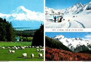 New Zealand Mt Cook & Glentanner Station Grazing Sheep Tasman Glacier and Mt ...