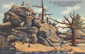 Mountain Goat, Monkey Island, Chicago Zoological Park Brookfield, Illinois, U...