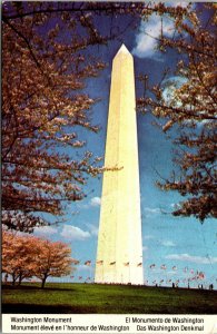 Vtg Washington Monument Cherry Blossom Time Washinhton DC Unused Postcard