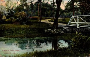 Indiana Kokomo View In City Park 1908