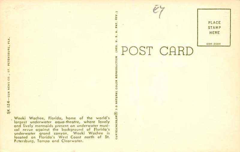 World's Largest Underwater Aqua-Theatre  Weeki Wachee FL