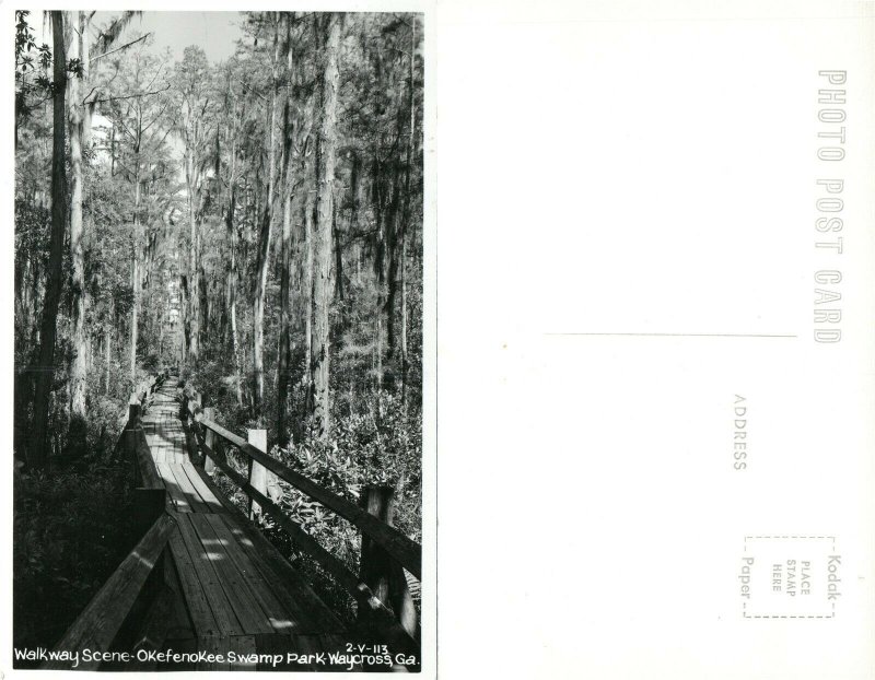 WAYCROSS GA OKEFENOKEE SWAMP PARK WALKWAY VINTAGE REAL PHOTO POSTCARD RPPC