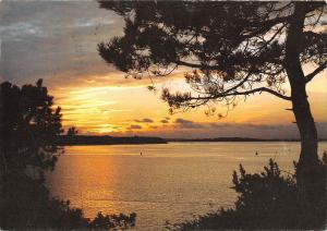 BR90659 poole dorset evening hill brownsea  uk