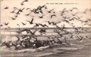 Postcard New Jersey Lavallette Sea Gulls & Surf Pub. Samuel Strauss 1944 V204