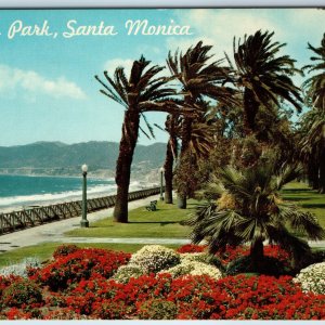 c1960s Santa Monica, CA Palisades Park Geranium Flower Bed Malibu Beach Cal A218