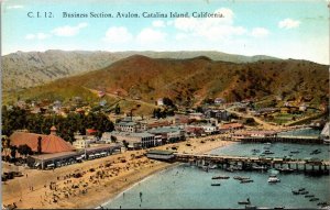 Postcard Business Section in Avalon, Catalina Island, California~2642