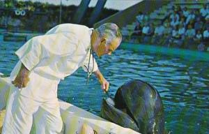 Florida Marineland Doctor Brushes Teeth Of Trained Whale