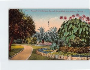 Postcard Fountain And Elephant Ears, St. James Park, Los Angeles, California