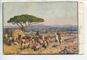 443321 NAMIBIA Windhoek local pastoralists Haigrewe Vintage postcard