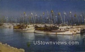 Fishing Fleet, Fisherman's Wharf - San Pedro Harbor, California CA  