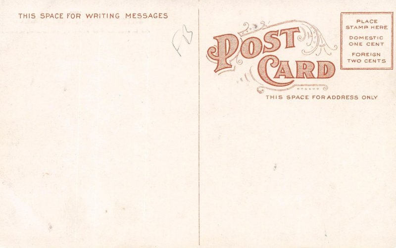 LPD99  Toledo Ohio  Street view Postcard