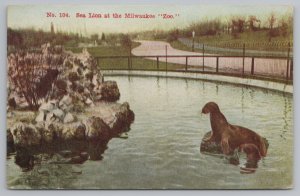 Milwaukee Wisconsin~Sea Lion Rests On Rock In Water~Milwaukee County Zoo~1911