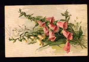 3051586 Wild BOUQUET Flowers by C. KLEIN vintage GOM 1675 RPPC