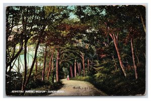 Kewstoke Woods Weston Super Mare Somerset England DB Postcard K17