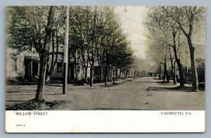 YARMOUTH NS CANADA WILLOW STREET ANTIQUE POSTCARD