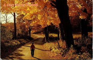 New Jersey Portrait Cuntry Rd Autumn Scene Child Walking Path Postcard VTG UNP 
