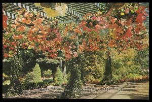 THE BUTCHART GARDENS - Hanging Baskets