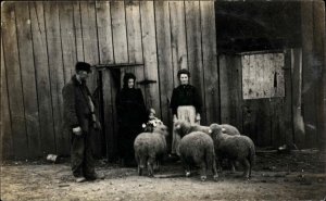 Threatening Sheep Advance on Women and Child Candid Real Photo RPPC PC