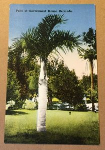 VINTAGE PC UNUSED PALM AT GOVERNMENT HOUSE BERMUDA